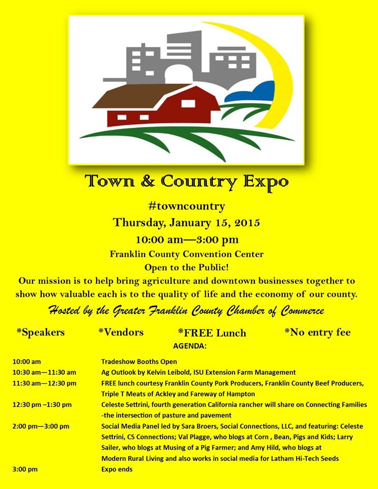 Town and Country Expo Flyer