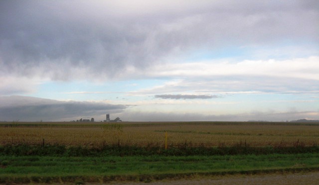 corn picked bad sky