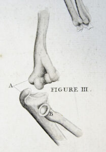 Elbow joint