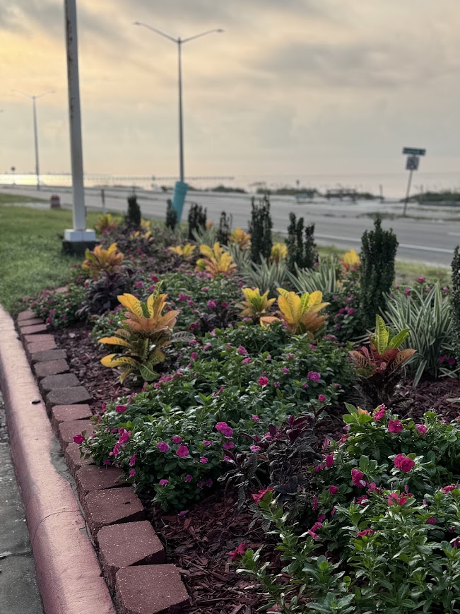 group of flowers at the end of a driveway across from the gulf of mexico