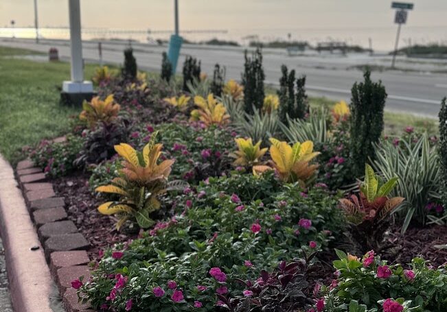 group of flowers at the end of a driveway across from the gulf of mexico