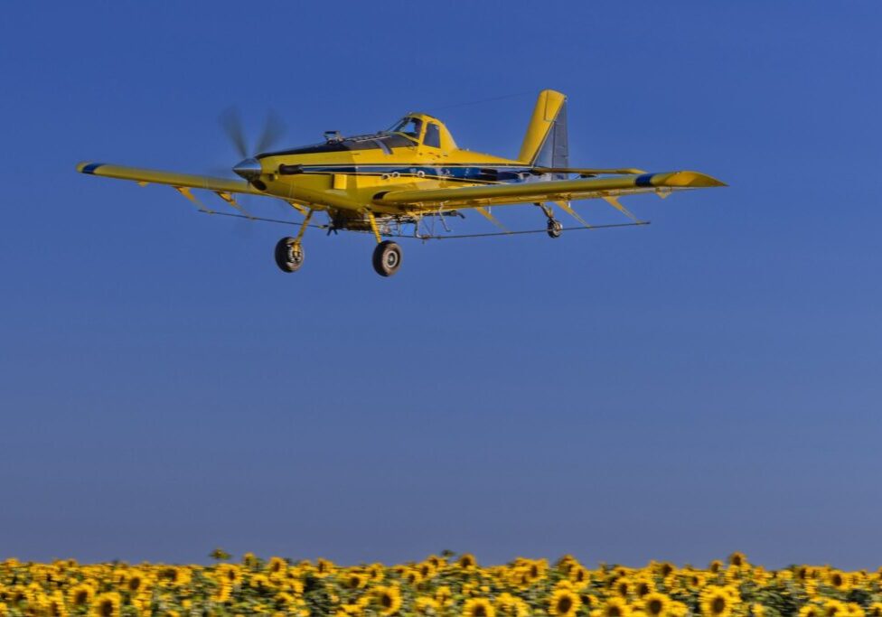 sunflower plane